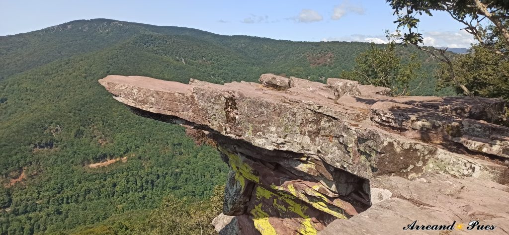 Rutas por la Selva de Irati con Mapa.
Mirador de Zamariain con una panorámica impresionante.