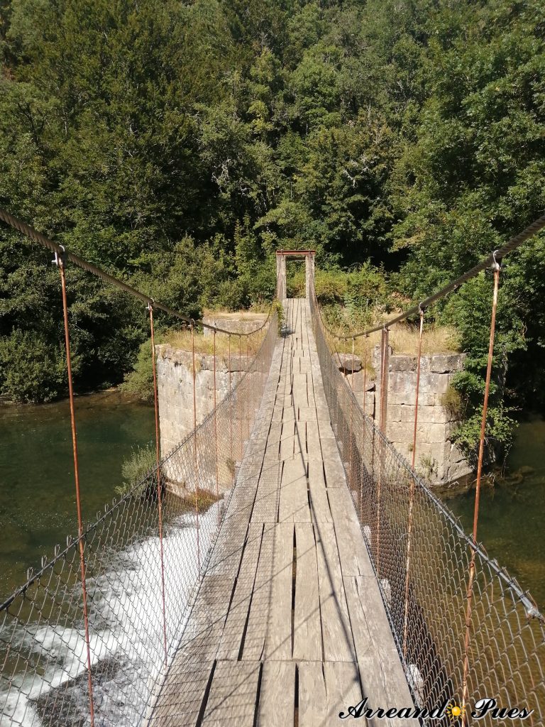 Rutas por la Selva de Irati. Puente colgante de Aribe