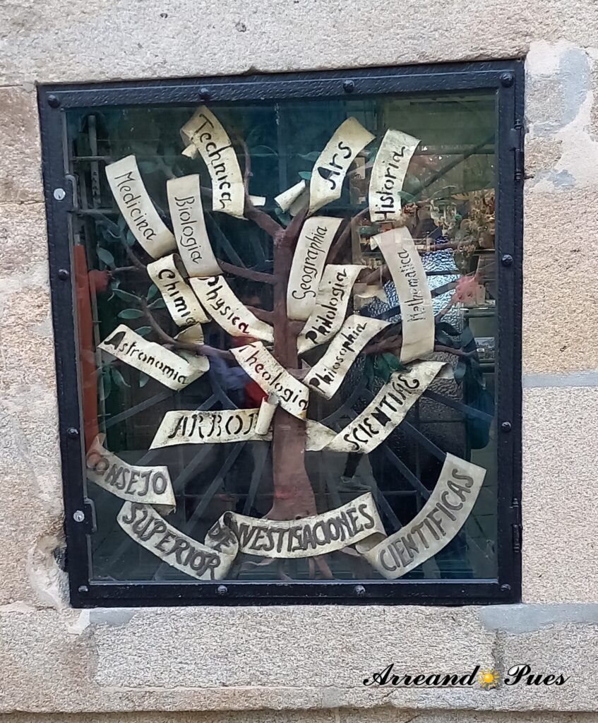 Árbol de la Ciencia en el lateral del Pazo de Fonseca. Santiago de Compostela.
