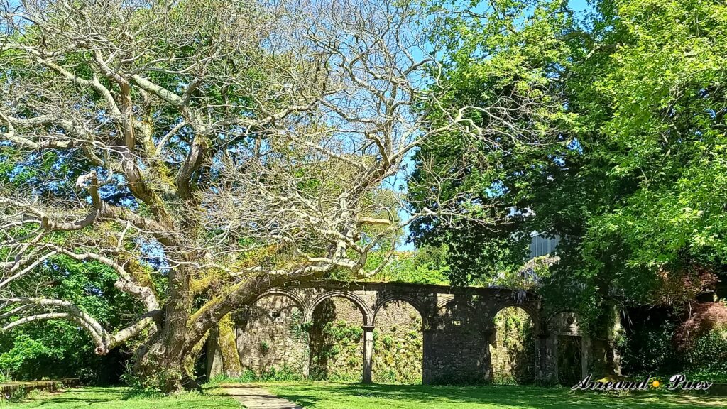 Parque de Santo Domingo de Bonaval muy cerca del Museo del Pobo Galego. Qué ver en Santiago de Compostela: Guía para Visitar.
