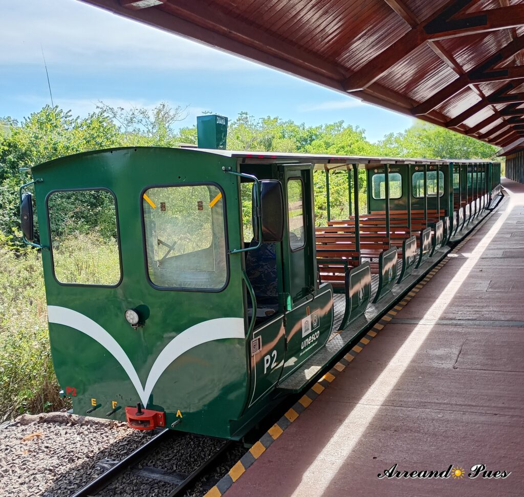 Tren para los traslados para recorrer los circuitos de Cataratas del Iguazú. 