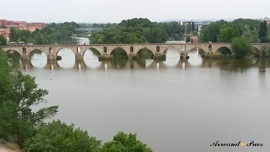 La mejor panorámica del Puente de Piedra es desde el Mirador del Troncoso.