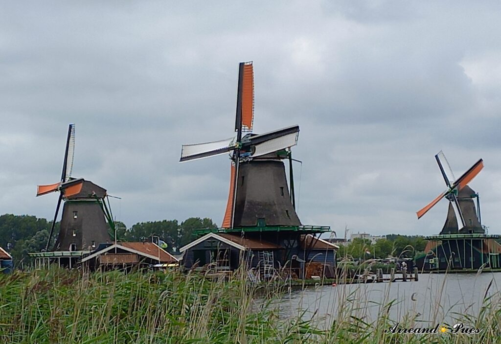 Excursión a Zaanse Schans, una de las excursiones mas recomendadas para hacer desde Ámsterdam.