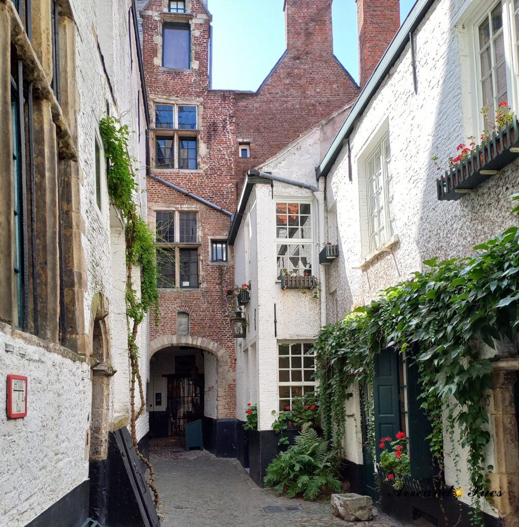 Vlaeykensgang es un callejón medieval muy bonito cerca de Catedral y el Ayuntamiento.