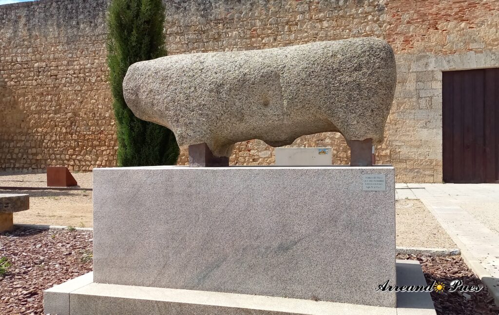 Qué ver en Toro Zamora: Los Mejores Lugares. Escultura zoomorfa Celtibérica tallada en piedra.