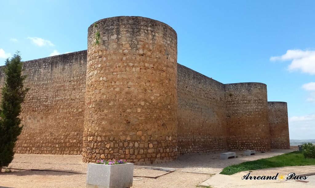 Fortaleza medieval con ubicación estratégica para controlar el Duero y la defensa de la ciudad. Arreando Pues
