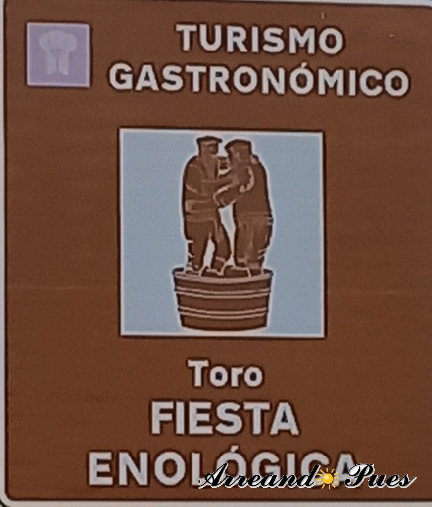 Qué ver en Toro Zamora: Los Mejores Lugares a visitar, las bodegas y disfrutar de su gastronomía es muy buena opción.