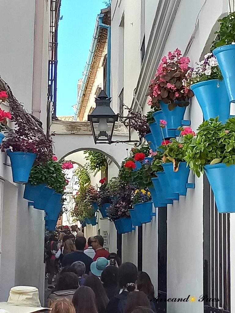 Calle de las Flores es uno de los puntos mas fotografiados de Córdoba.