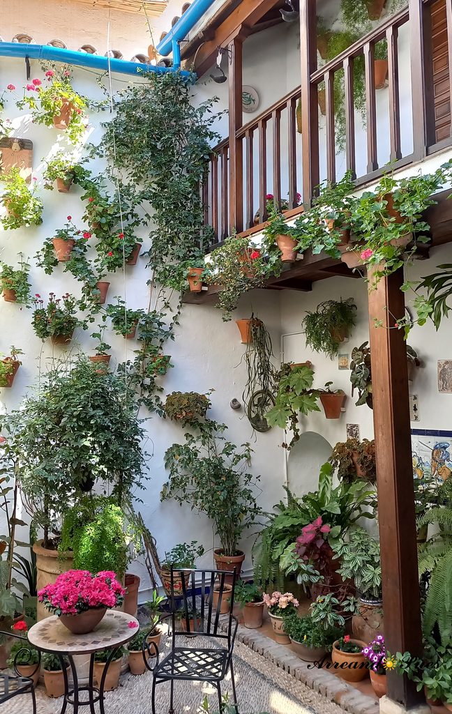 En el mes de mayo se celebra la Fiesta de los Patios de Córdoba, donde los vecinos muestran y compiten por el mejor patio. Declarado patrimonio Cultural Inmaterial de la Humanidad.